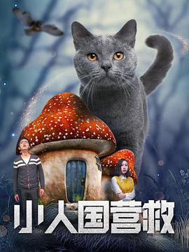在线播放 一区